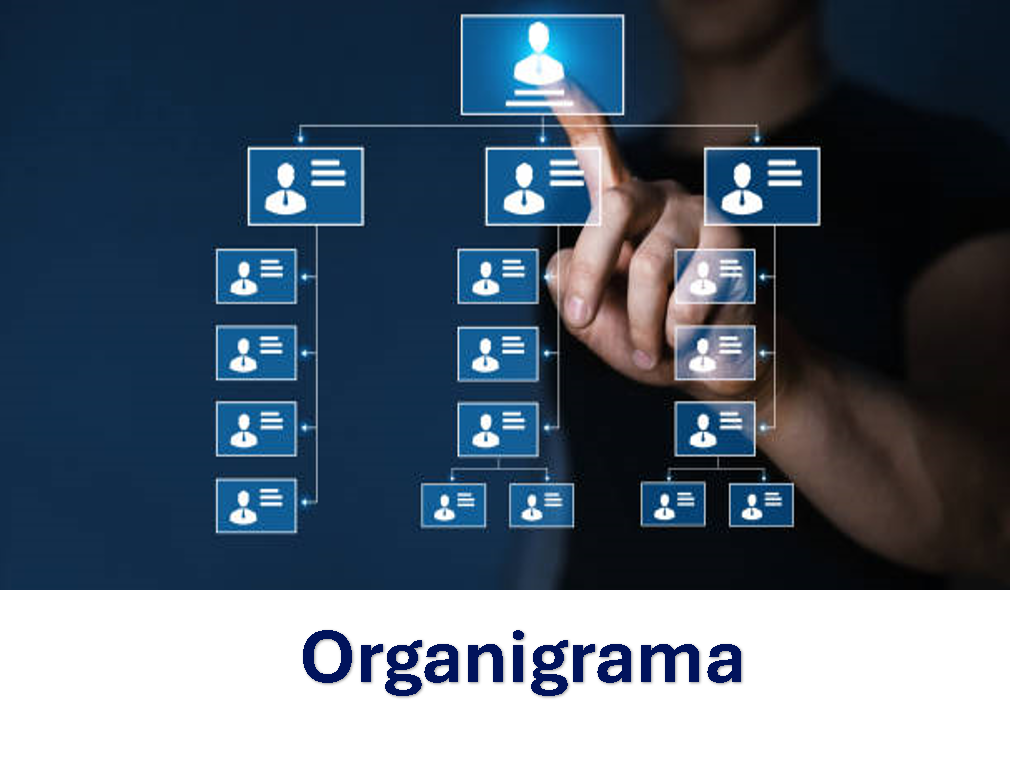 Organigrama