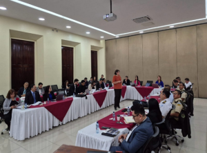 funcionarios y expertos participan en el taller de formulacion del plan estrategico de seguridad 2025–2035