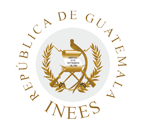 logo dorado inees
